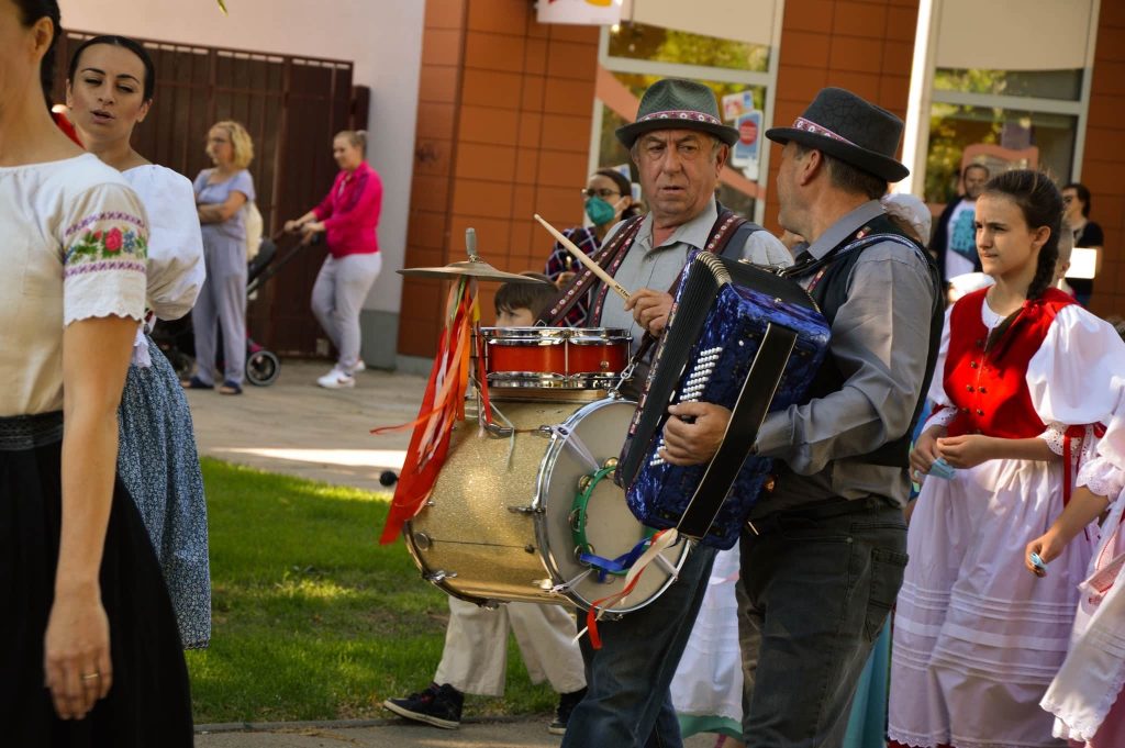 harmonikári-šaľa