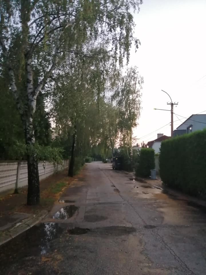 postrek-bzdochy-šaľa